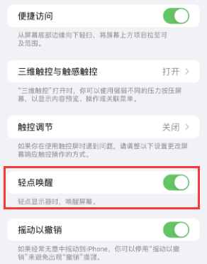 玛多苹果授权维修站分享iPhone轻点无法唤醒怎么办 