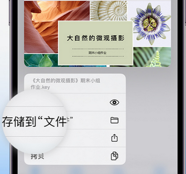 玛多apple维修中心分享iPhone文件应用中存储和找到下载文件