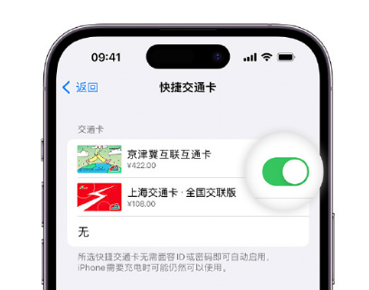 玛多apple维修点分享iPhone上更换Apple Pay快捷交通卡手绘卡面 