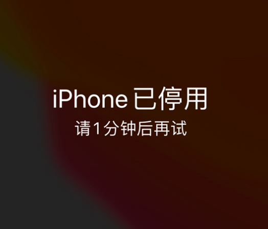 玛多苹果手机维修分享:iPhone 显示“不可用”或“已停用”怎么办？还能保留数据吗？ 