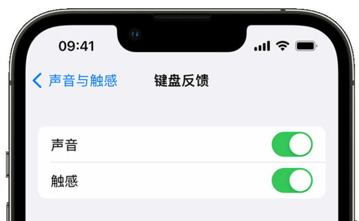 玛多苹果手机维修分享iPhone 14触感键盘使用方法 