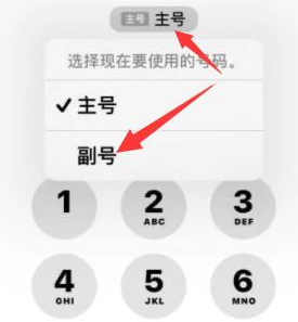 玛多苹果14维修店分享iPhone 14 Pro Max使用副卡打电话的方法 