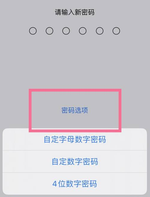 玛多苹果14维修分享iPhone 14plus设置密码的方法 