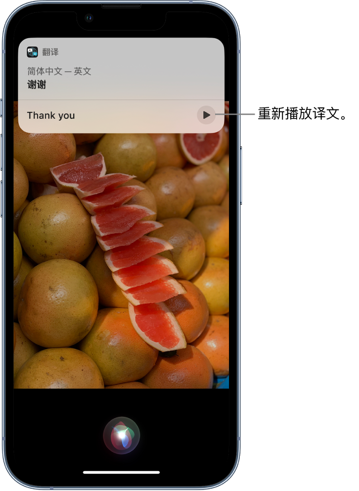 玛多苹果14维修分享 iPhone 14 机型中使用 Siri：了解 Siri 能帮你做什么 