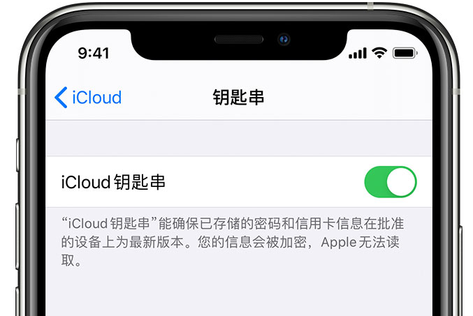 玛多苹果手机维修分享在 iPhone 上开启 iCloud 钥匙串之后会储存哪些信息 