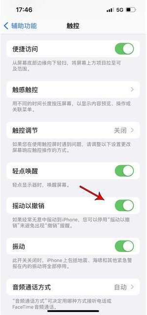 玛多苹果手机维修分享iPhone手机如何设置摇一摇删除文字 